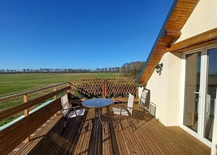 L'appel De La Foret *